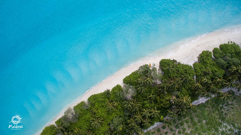 Maldives Beach Aerial Photo download for free image