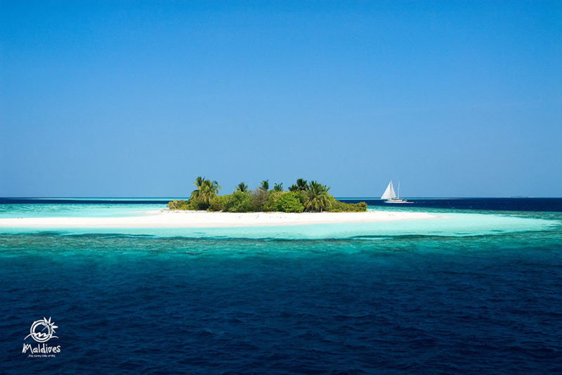 Maldives tropical Island Free Wallpaper